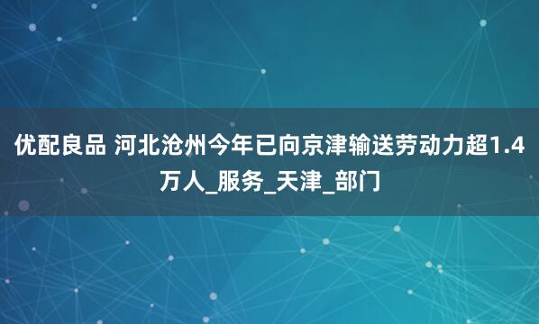 优配良品 河北沧州今年已向京津输送劳动力超1.4万人_服务_天津_部门