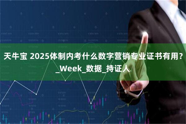 天牛宝 2025体制内考什么数字营销专业证书有用？_Week_数据_持证人