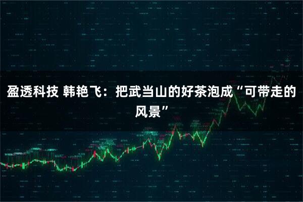 盈透科技 韩艳飞：把武当山的好茶泡成“可带走的风景”