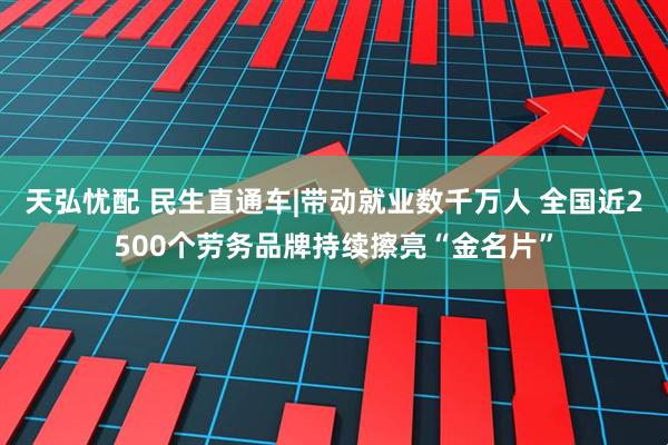 天弘忧配 民生直通车|带动就业数千万人 全国近2500个劳务品牌持续擦亮“金名片”