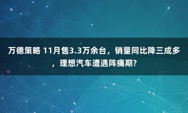 万德策略 11月售3.3万余台，销量同比降三成多，理想汽车遭遇阵痛期?