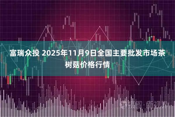 富瑞众投 2025年11月9日全国主要批发市场茶树菇价格行情