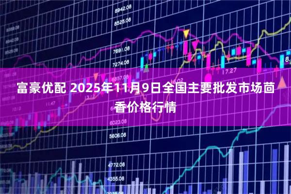 富豪优配 2025年11月9日全国主要批发市场茴香价格行情